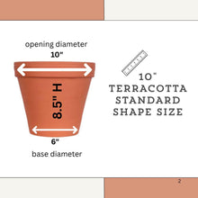 Load image into Gallery viewer, a picture of a terracotta standard shape size