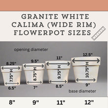 Load image into Gallery viewer, the measurements of three flower pots are shown