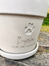 Load image into Gallery viewer, Pet Memorial Flower Pot – Engraved Paw Print with Name and Date – Custom Clay Planter for Dog Remembrance