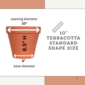 a picture of a terracotta standard shape size